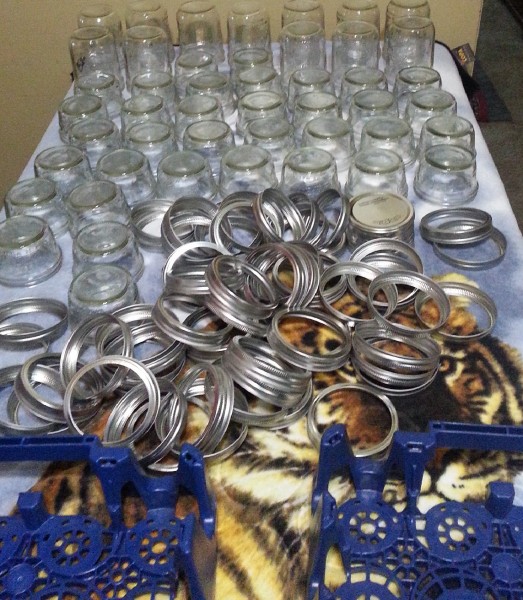 1/2 and full pint jars with lids and rings.